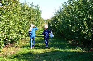 Picking Apples | At Seven Ponds Orchard. | Joe Shlabotnik | Flickr