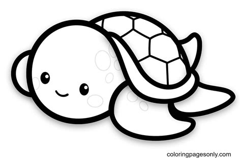 780 Collections Coloring Pages Turtle Best HD - Coloring Pages Printable