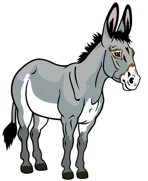 Donkey on white. Donkey,front view illustration isolated on white background , #AD, #front, #wh ...