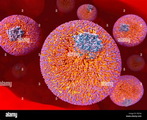 Low Density Lipoprotein High Resolution Stock Photography and Images - Alamy