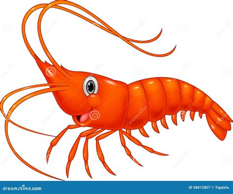 Cute Cartoon Shrimp | CartoonDealer.com #58812807