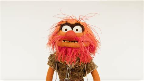 Muppet Stuff: Muppet Thought of the Week ft. Animal!