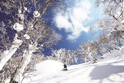 Rusutsu Ski Resort, Japanese Ski Packages - Snowcapped travel