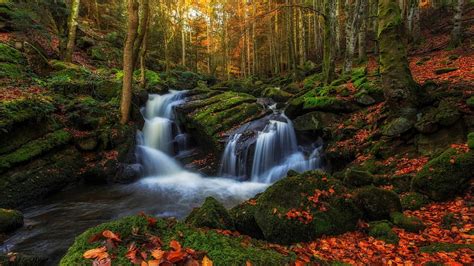 Autumn Forest, Fall, waterfalls, Autumn, rocks, leaves, waterfall, trees, water, forest HD ...