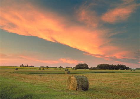 Round Hay Bales Photograph by Darwin Wiggett - Fine Art America