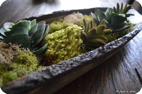 A Lived in Home: DIY Succulent Arrangement