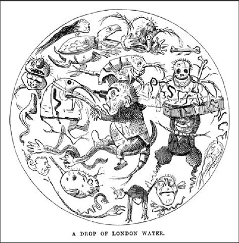 Figure 2 from Grounding Miasma, or Anticipating the Germ Theory of Disease in Victorian Cholera ...