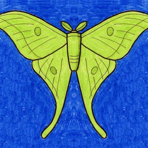 a drawing of a green butterfly on a blue background