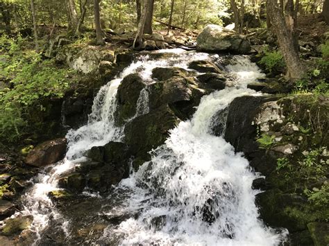 Blue Blaze Trails Fall Hike Series: Mohawk Trail