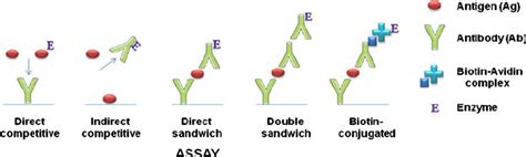 Different types of ELISA assays