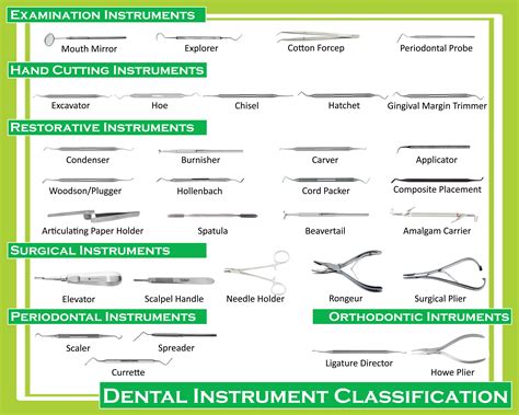 Dental Tools and Names: A Comprehensive Guide