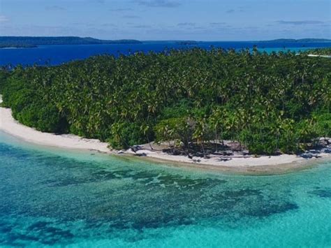 WHALE WATCH VAVA’U - Tonga Tourism