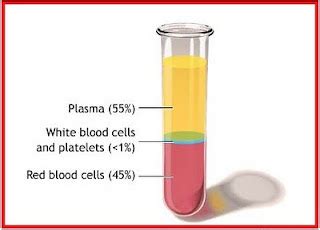 Belajar Biologi: Plasma Darah (Cairan Darah)