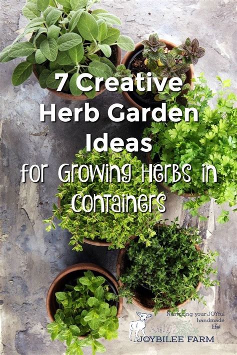 7 Creative Herb Garden Ideas for Growing Herbs in Containers | Herb ...