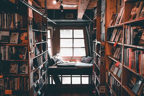library interior, library, literacy, education, pillow, bookstore, reading place, cosy, CC0 ...
