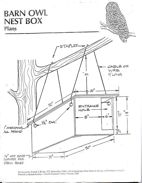 DIY barn owl nesting box plans, pg 1 | Owl nest box, Nesting boxes, Homemade bird houses