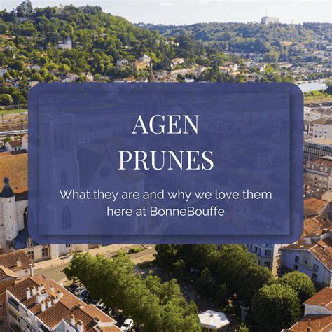 Healthy, Delicious, Unique: The Agen Prune · BonneBouffe