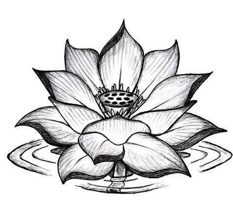 Black Ink Lotus Flower Tattoo Sample | Tattoobite.com | Lotus tattoo ...