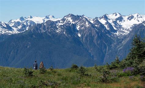 Pacific Northwest national park bucket list: 20 amazing parks around the region - oregonlive.com