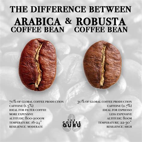 The Four Main Types Of Coffee Beans - The Coffee Guru