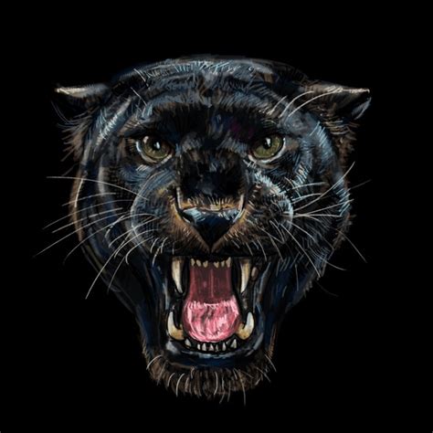 6,137 Black Panther Roaring Royalty-Free Images, Stock Photos & Pictures | Shutterstock