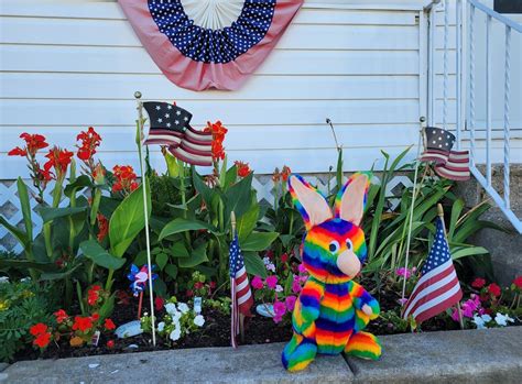 Rainbow Rabbit | Thorofare NJ