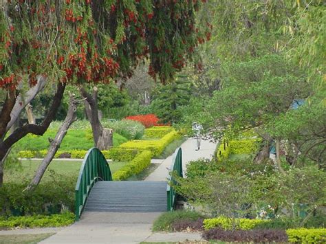 Chandigarh City Guide and Information: Best Gardens of Chandigarh City