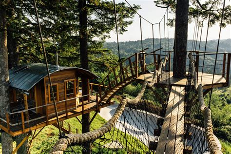 Cool Treehouses from around the World | Cool Things Collection | Collthings.co.uk