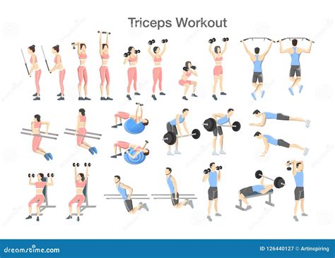 Arm Triceps Workout Set with Dumbbell and Barbell Stock Vector ...