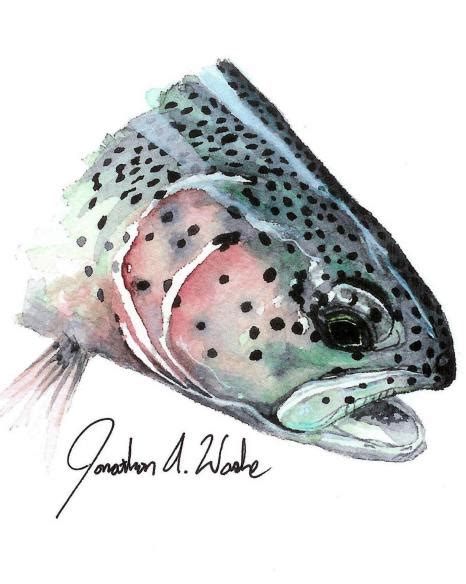 Rainbow Trout Watercolor at PaintingValley.com | Explore collection of ...