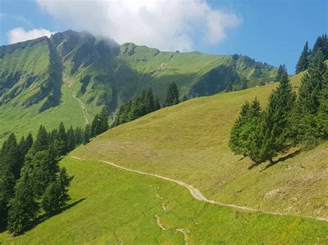 Gratwanderung zwischen 🇦🇹 & 🇩🇪 mit Blick aufs Nebelhorn Routes for Walking and Hiking | Komoot