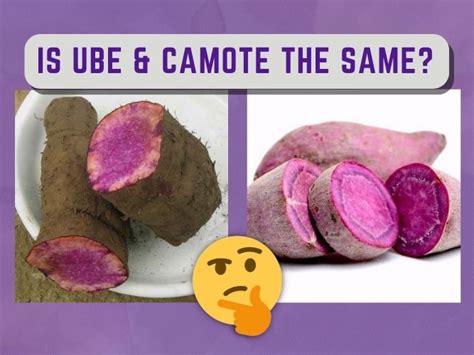 Is Ube And Camote The Same? | Pinoy Food Guide