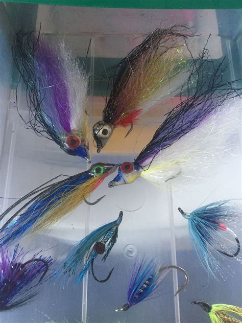 Springs and Coho | Saltwater flies, Fly tying patterns, Fly fishing