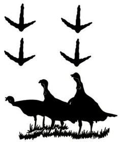 turkey tracks silhouette - Google Search | boys room | Pinterest | Turkey tracks, Decals and ...