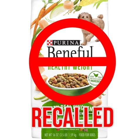 Warning! These 10 Dog Foods Have Been Recalled (2020) - Page 2 of 2 ...