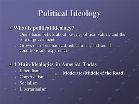 Political Ideology Could Be Best Described as - ErikakruwGillespie