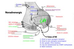 Guanethidine