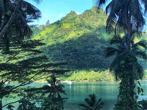 Island Vibes: 15 EPIC Things to Do in Moorea - Explore Now Or Never