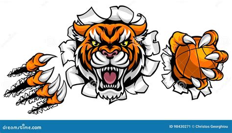 Tiger Holding Basketball Ball Breaking Background Cartoon Vector ...