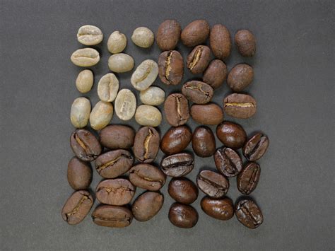 Who Has The World’s Best Coffee Beans? - Review and Buyer’s Guide