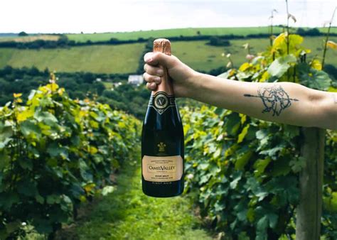 25 Facts About Champagne and the Champagne Region