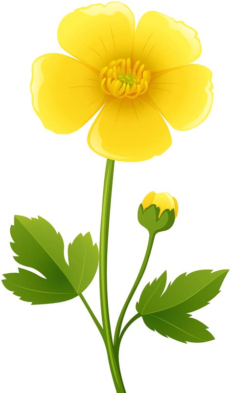 Yellow flower transparent clip art image 2 jpg – Clipartix