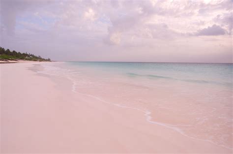 This Pink Sand Beach in the Bahamas Will Top Your Travel Bucket List | Pink sand beach ...