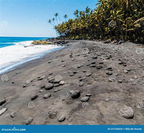 Palm Tree Lined Pohoiki Black Sand Beach Stock Photo - Image of palm, tree: 227538620