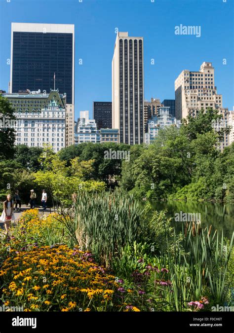 Central Park and Skyline, NYC Stock Photo - Alamy