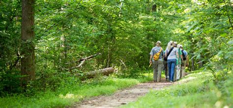 The Carolina Thread Trail | Regional Network of Trails