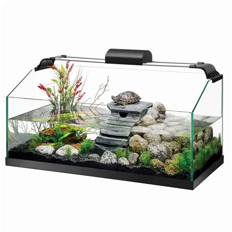 Best Turtle Tank Setup: The Definitive Guide - Expert Aquarist