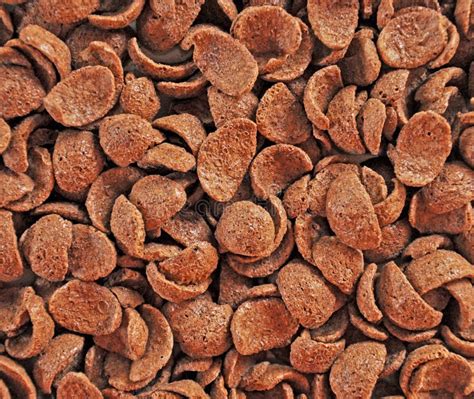 Coco crunch stock image. Image of chocolate, crisp, tasty - 29138803