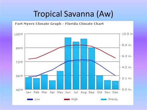 African Savanna Climate Chart: A Visual Reference of Charts | Chart Master