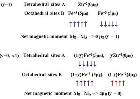 The spin magnetic moment per formula unit of ZnyFe3−yO4 for y = 0 and 1 ...